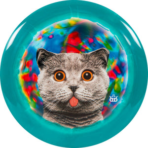 Dynamic Discs Fuzion Orbit Raider - Kitty Trippin' Dyemax